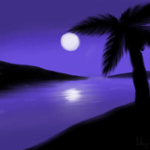 Palm Tree Sunset